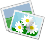 Photos